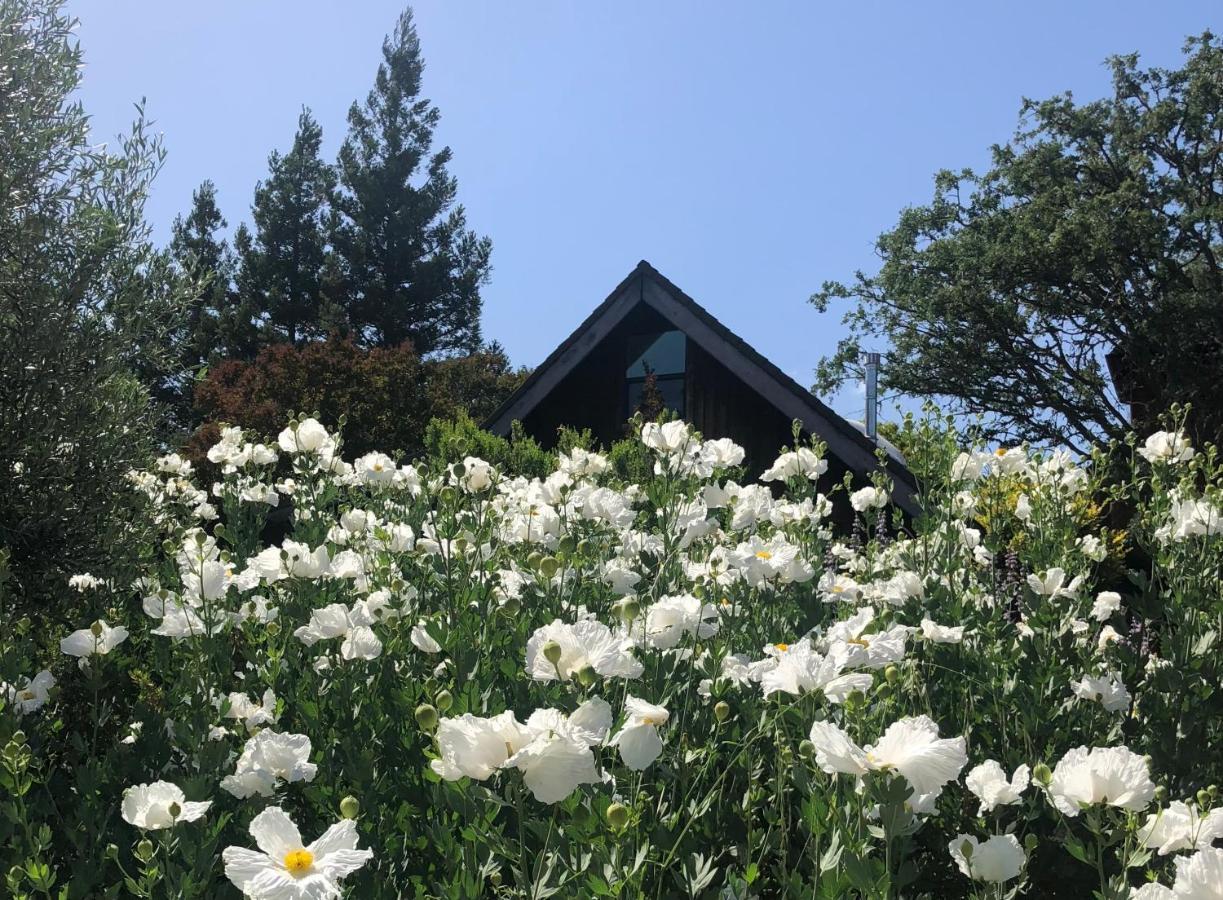 Inn Paradiso 파소 로블레스 외부 사진